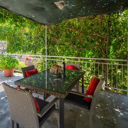 Jelena By Interhome Klanfari