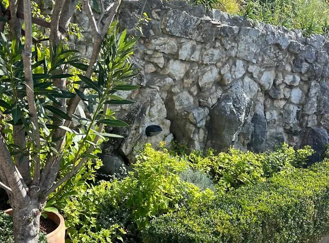 Jelena By Interhome Klanfari